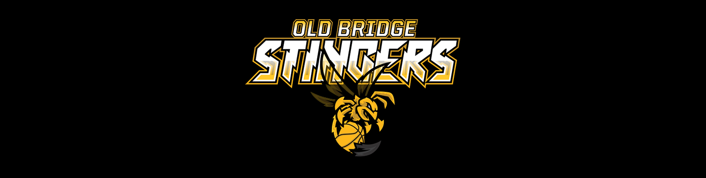 Old Bridge Stingers