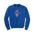 AYC CREW NECK SWEAT SHIRT (6 Colors)