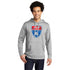 AYF Hoodie