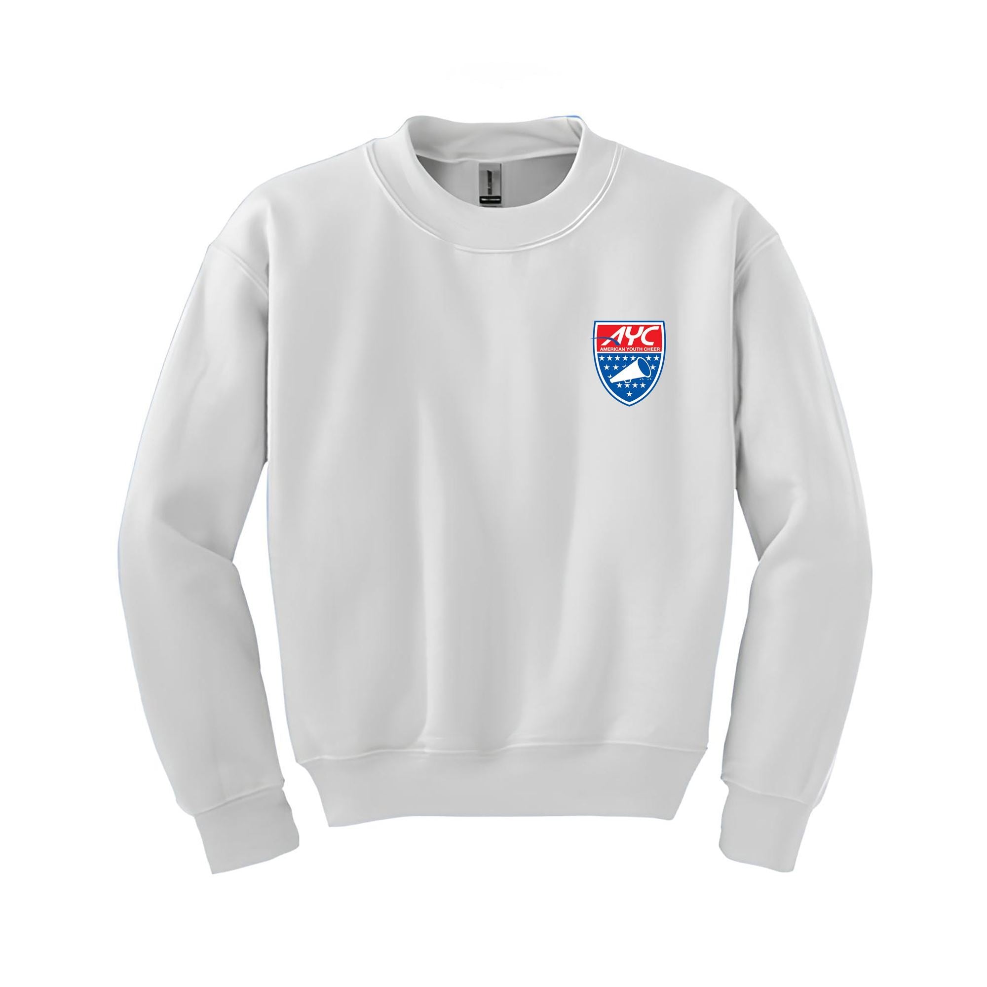 AYC CREW NECK SWEAT SHIRT (6 Colors)