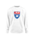 AYF Full Dye Sublimated Crew Neck Sweat Shirt (6 Colors)