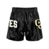 Gold City Wrestling Fight Shorts