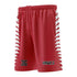 HUDSON HAWKS Shorts