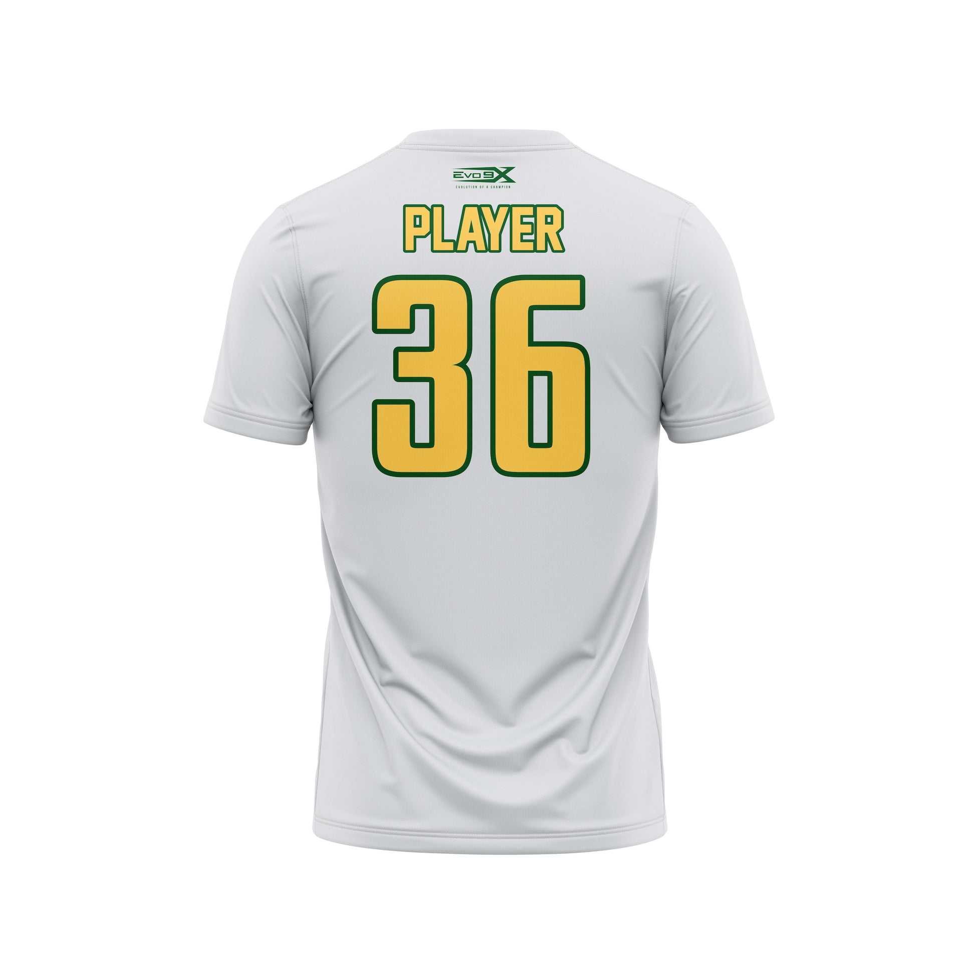 HUDSON VALLEY RAVENS SEMI SUB TEE - SILVER