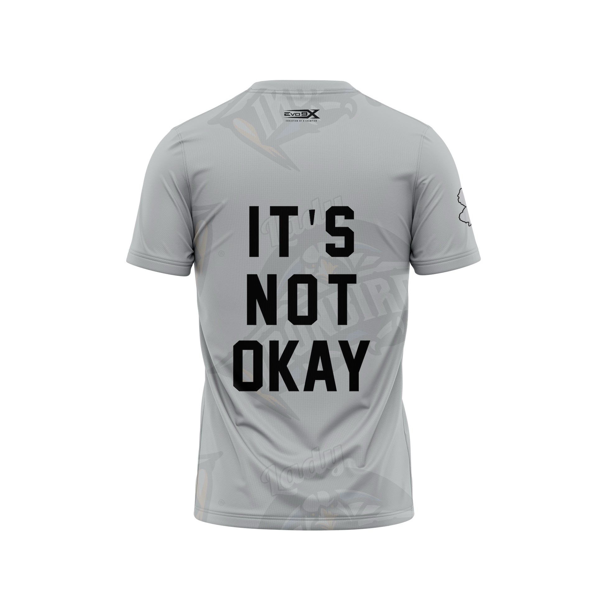 LADY IRONBIRDS CREWNECK SS "ITS NOT OK" - GREY