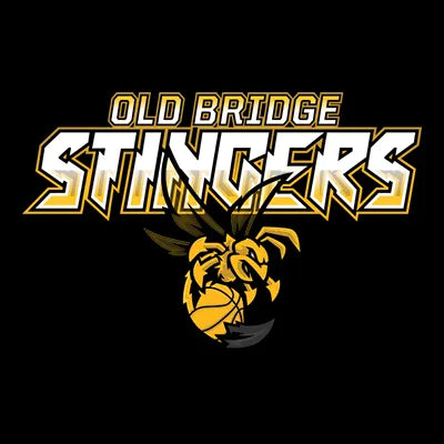 Old Bridge Stingers