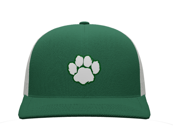 Tigers Snapback Hat