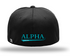 ALPHA APPRAISAL BLACK BASEBALL HAT