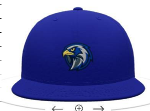 FBA FALCONS HAT