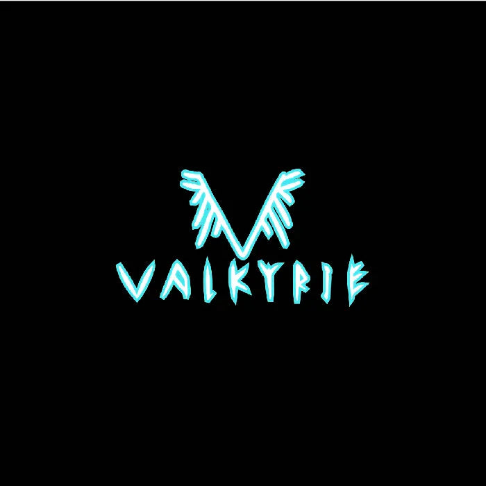 Valkyrie Softball
