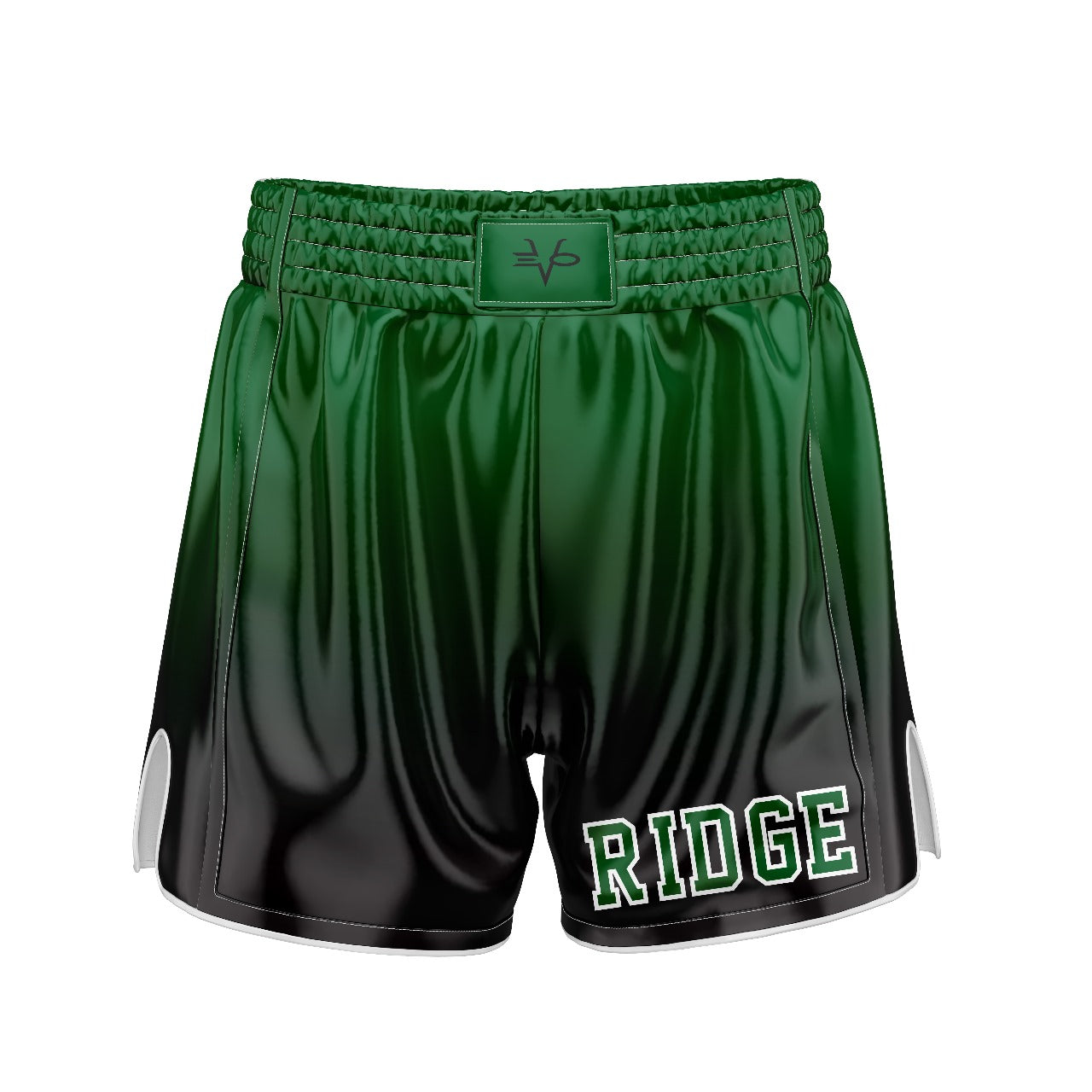 RIDGE WRESTELING FDS FIGHT SHORTS