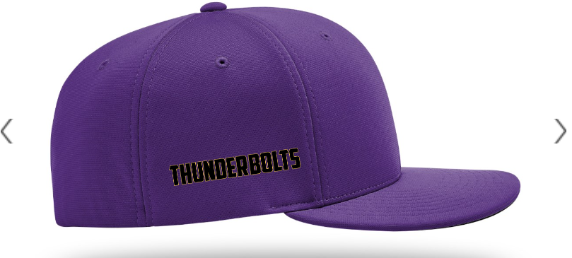 PTS2O HAT - PURPLE