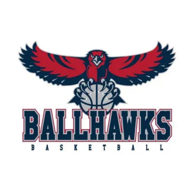 Davinci Basketball