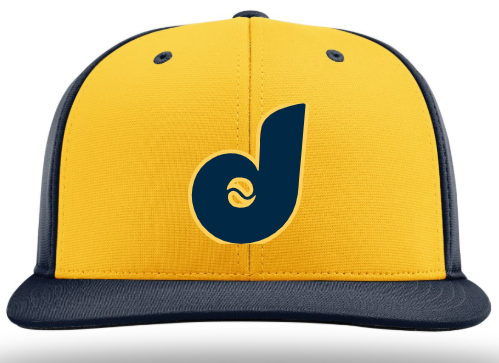 DINGERS HAT