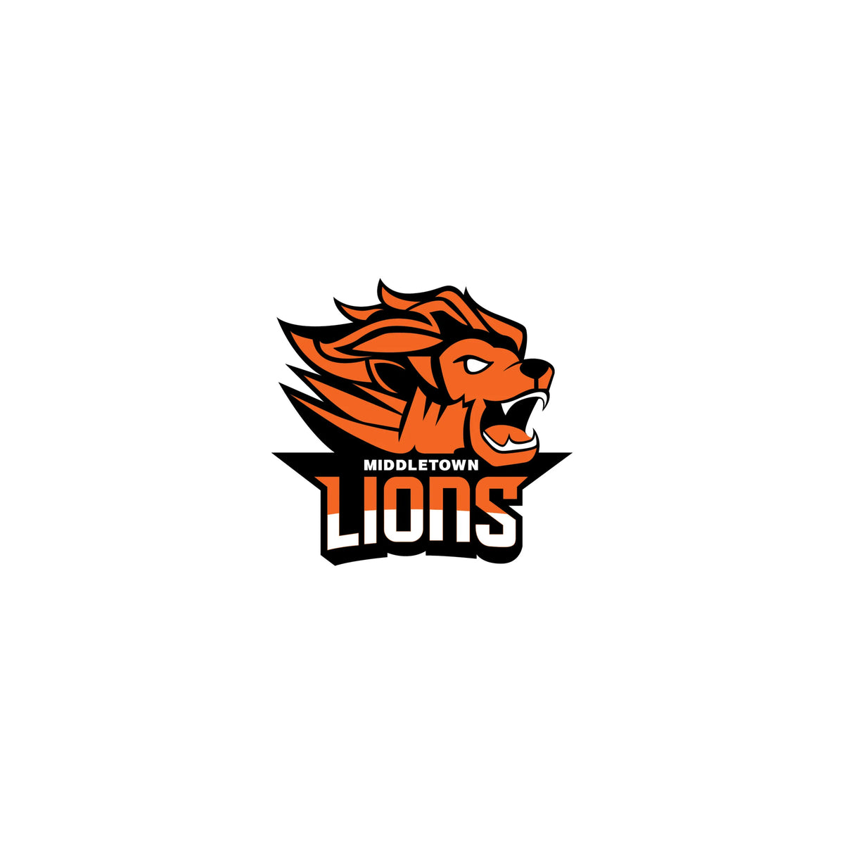 LIONS BASEBALL